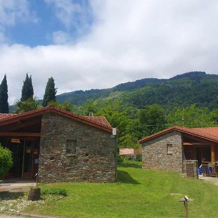 Chalets A 10 Minutes De Foix Mercus-Garrabet Kültér fotó